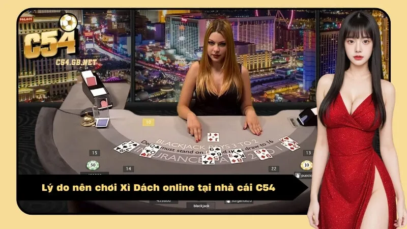 Lý do nên chơi Xì Dách online tại nhà cái C54